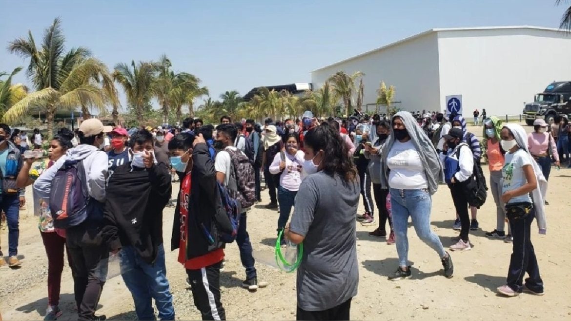 Trabajadores agroindustriales anuncian marcha nacional contra nueva ley agraria y exigen al Gobierno que la observe
