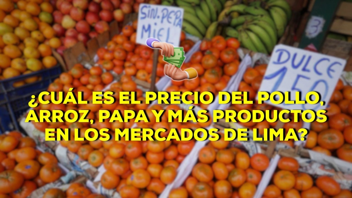 Fondo