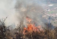 Dantesco incendio forestal se registra en los limites de Calca y Urubamba