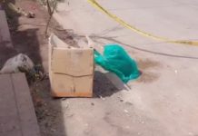 Hallan momia abandonado en basural de la zona de Alto Qosqo- San Sebastián