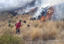 Dantesco incendio forestal en Pomacanchi deja un herido y daños a la flora y fauna