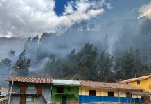 Devastador incendio forestal afecta reserva de vicuñas en Parcco- distrito de Accha Paruro