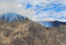 Incendios forestales arrasan más de 2 mil hectáreas en cusco: detienen a adulto mayor