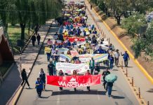 Caminata por la vida unificó a autoridades y población en la prevención del suicidio.