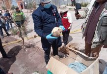 Hallan una momia en la zona de Alto Qosqo y es investigada por la entidad cultural