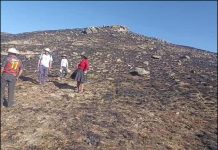 Dantesco incendio forestal en Llusco deja la muerte de un agricultor- Chumbivilcas