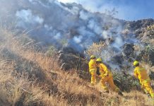 Liquidan el dantesco incendio forestal de las partes altas del valle sagrado de los incas