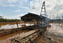 Ampliación del Reinfo daría “protección legal” a 50,000 mineros ilegales, advierte Videnza