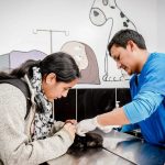 Mas de 1000 mascotas fueron esterilizadas en lo que va del año en San Jerónimo