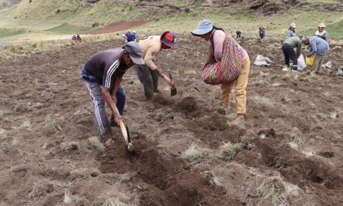 WhatsApp-Image-2025-11-27-at-10.29.11-PM-1000x600-1