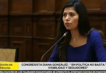 Diana Gonzales sobre prepostulación de Karen Paniagua: "En política no basta tener visibilidad y seguidores"