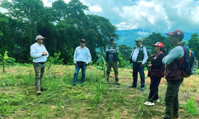 foto-agricultrua-en-el-vraem-1000x600-1