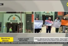 Maltrato animal en Cusco: denuncian que hombre mató a una perrita que estaba preñada