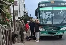 Conductor de la Línea 20 es asesinado por dos delincuentes armados en Chorrillos