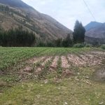 Mas de 5 mil hectáreas de terrenos fueron afectadas por fenómenos naturales en noviembre