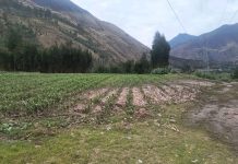 Mas de 5 mil hectáreas de terrenos fueron afectadas por fenómenos naturales en noviembre