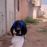 Por matar a su perrito, mujer responderá a la justicia en San Jerónimo