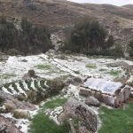 Granizada afecto terrenos de cultivos y viviendas en distrito de Layo- Canas