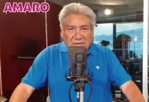 LA BATALLA ELECTORAL POR EL GRAN SUR