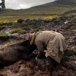 Campesinos se sienten olvidados por el gobierno, las lluvias afecta sus cultivos
