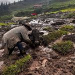 Emergencia en el distrito de Colquemarca huayco arrasa con viviendas animales y otros
