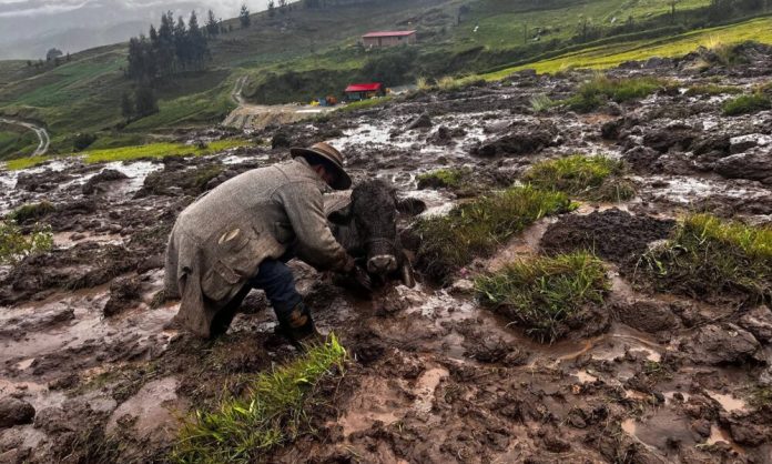 641364781_1537297367791195_401665888672665902_n-1000x600-1