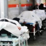 Familia en la comunidad Ashaninka se intoxican al comer caldo de sapo,dos fallecen