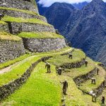 El domingo reaperturan el Camino Inca al turismo receptivo en Machupicchu