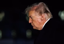 ¿Donald Trump se queda solo? País por país, la respuesta al llamado para intervenir en el estrecho de Ormuz