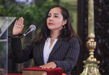 Edith Pariona juró como ministra de la Mujer en reemplazo de Hary Izarra