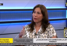 Concesiones mineras 'ociosas': SNMPE advierte que dictamen del Congreso incentivaría invasiones y expansión de la minería ilegal