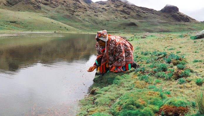 655236776_10232587320889082_1366487508605371063_n