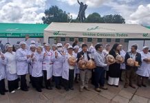 Panificadores cusqueños estudian incrementar el precio del pan popular