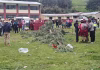 Cusco: niña de tres años falleció tras ser aplastada por un árbol durante una yunza en Chumbivilcas