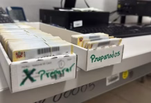 Reniec: más de 526 mil DNI de ciudadanos mayores de edad están pendientes de recojo