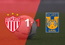 Liga MX: Ángel Correa rescata a Tigres con un gol agónico ante Necaxa