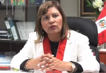 PJ rechazó pedido de Elizabeth Peralta para afrontar en libertad restringida proceso por tráfico de influencias y cohecho