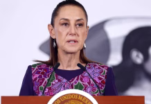 Sheinbaum pide revisar norma tras sacrificio de 10 mil perros callejeros en México
