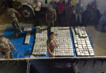 Piura: incautan más de 700 kilos de alcaloide de cocaína ocultos en camión frigorífico