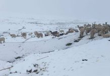 Cusco registra bajas temperaturas y continuaran las lluvias en la región en el mes de mayo
