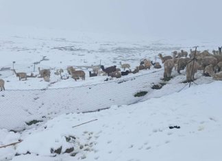 Cusco registra bajas temperaturas y continuaran las lluvias en la región en el mes de mayo