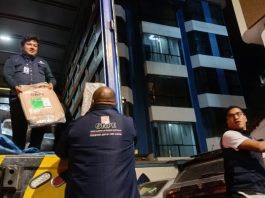 Más de 26 millones de electores participarán en las elecciones generales