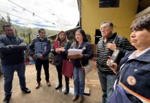 fiscalía ordena la tala de árboles de eucalipto en la APV Los Huertos