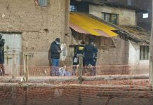 Vecinos de la prolongación Av, Ejercito denuncian que hay viviendas criaderos de perros