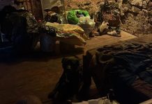 Asesinan y descuartizan a un sujeto en una vivienda antigua en la prolongación Avenida del Ejercito